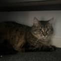 Photo of Boots