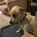Photo of Max