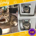 Photo of Lenny