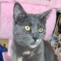 Photo of Luna