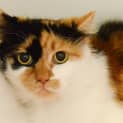 Photo of Maisy
