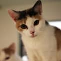 Photo of Catelyn