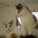Photo of Catelyn