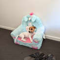 Photo of Maxi
