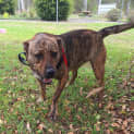 Photo of Bella
