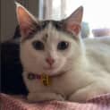 Photo of Evie