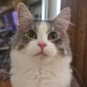 Photo of Rogue