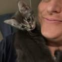 Photo of Diesel 