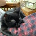 Photo of Mujo