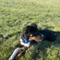 Photo of Kubo