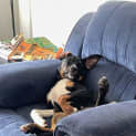Photo of Kubo