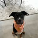 Photo of Kubo
