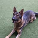 Photo of Lucy