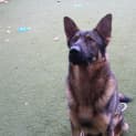 Photo of Lucy