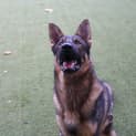 Photo of Lucy