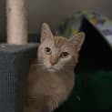 Photo of Emmie