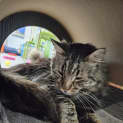 Photo of Nunny