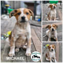 Photo of Michael