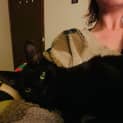 Photo of Merlin
