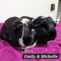 Photo of Emily & Michelle
