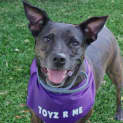 Photo of Roxy