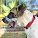 Photo of Abbey