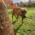 Photo of Elsie
