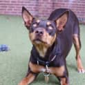 Photo of Mars Bar