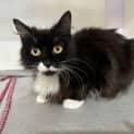 Photo of Princess