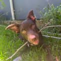 Photo of Roukin