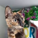 Photo of Bridget