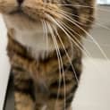 Photo of Elfie