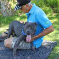 Photo of Maisey
