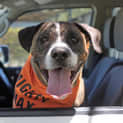 Photo of Max