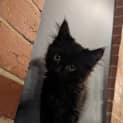 Photo of Pym