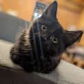 Photo of Pym