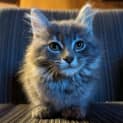 Photo of Lenore