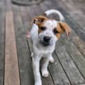 Photo of Cindy