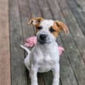 Photo of Cindy