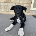Photo of Eddie