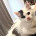 Photo of Trix