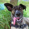 Photo of Lilah