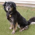 Photo of Snuffy