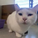 Photo of Annie