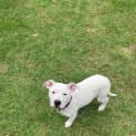 Photo of Molly