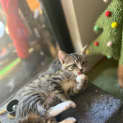 Photo of Zara