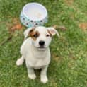 Photo of Tovah