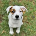 Photo of Tovah
