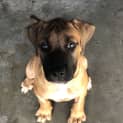 Photo of Bubbles