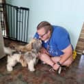 Photo of Magpie & Brownie💖Shih Tzu X Jrt(on Trial 15/12/23)